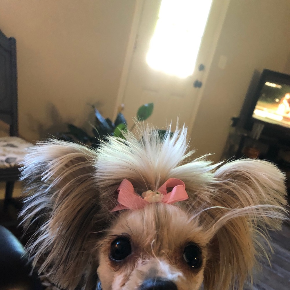 Meet your Posher, Oa